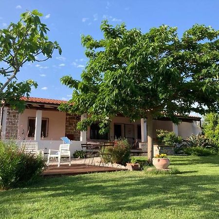 Countryside Villa In Sardinia Triei Zewnętrze zdjęcie