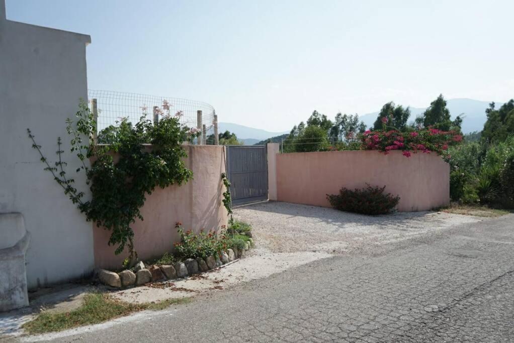 Countryside Villa In Sardinia Triei Zewnętrze zdjęcie