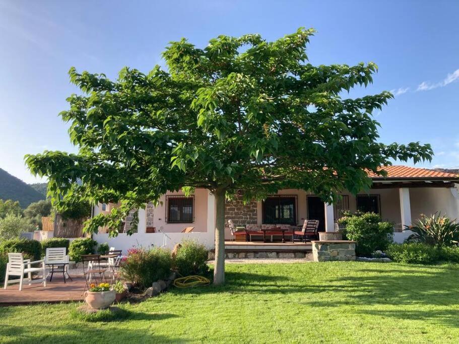 Countryside Villa In Sardinia Triei Zewnętrze zdjęcie