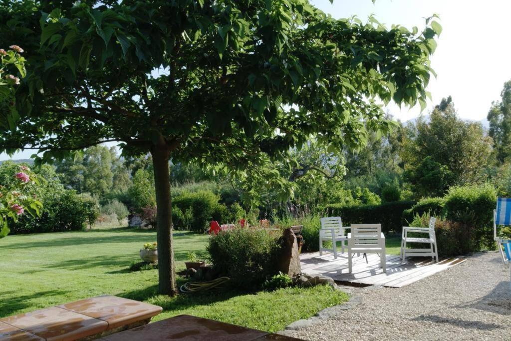 Countryside Villa In Sardinia Triei Zewnętrze zdjęcie